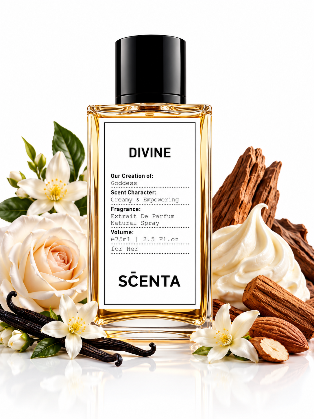 DIVINE